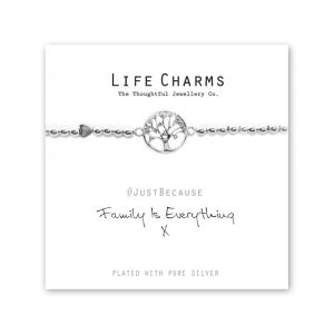480237- Life Charms - LC037BW - Just because - Family is Everything
