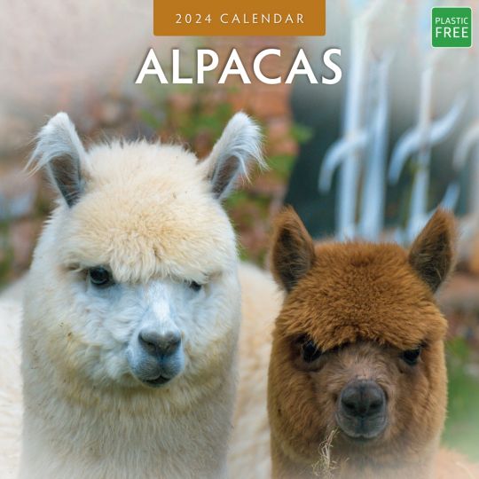 Kalender 2024 - Alpacas