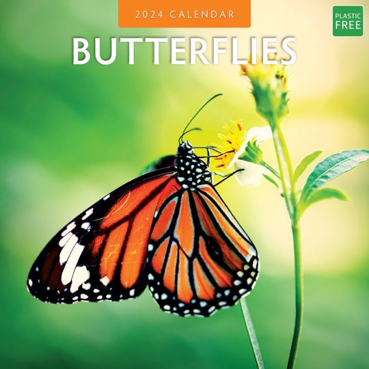 Kalender 2024 - Butterflies