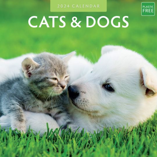Kalender 2024 - Cats & Dogs