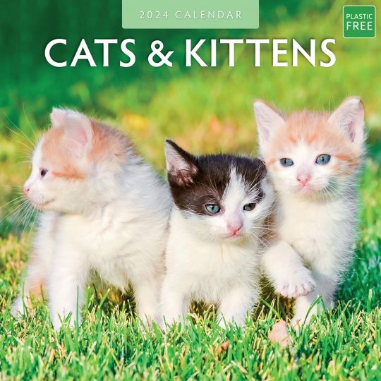 Kalender 2024 - Cats & Kittens