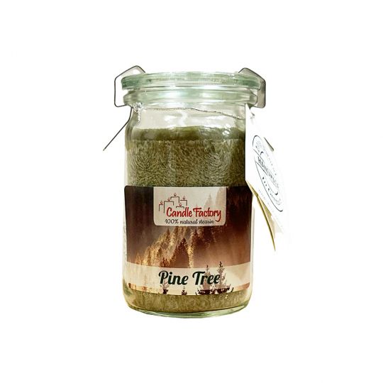 Candle Factory - Baby Jumbo - Kaars - Pine Tree 