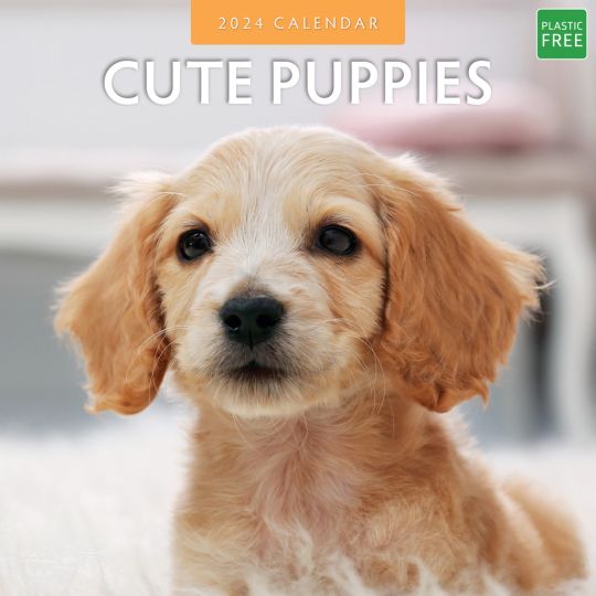 Kalender 2024 - Cute Puppies