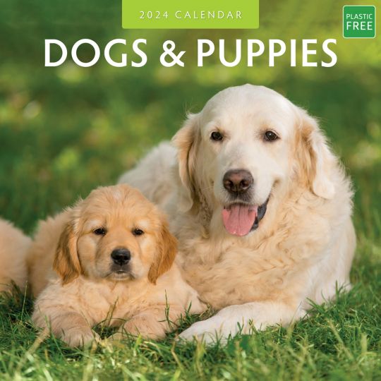 Kalender 2024 - Dogs & Puppies