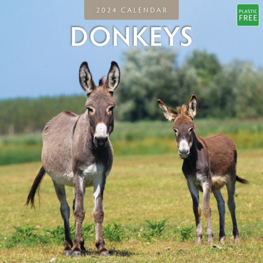 Kalender 2024 - Donkeys
