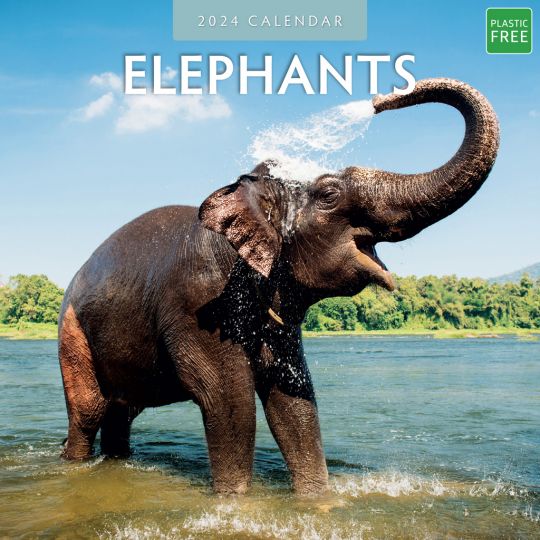 Kalender 2024 - Elephants