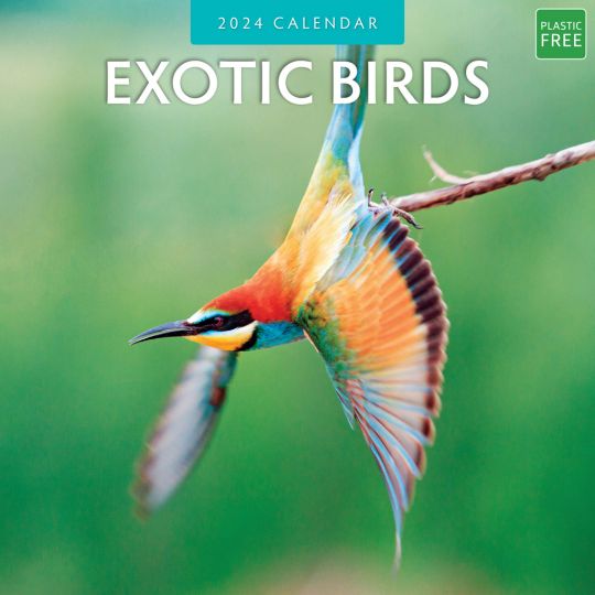Kalender 2024 - Exotic Birds