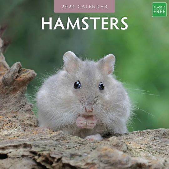 Kalender 2024 - Hamsters