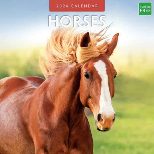 Kalender 2024 - Horses