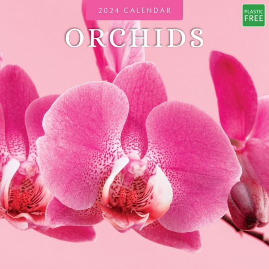 Kalender 2024 - Orchids