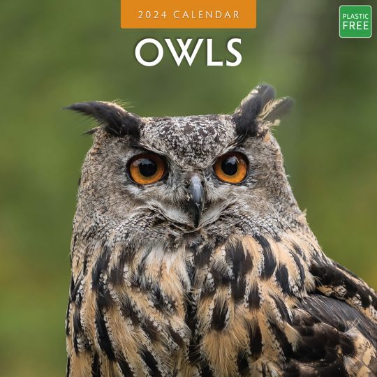 Kalender 2024 - Owls