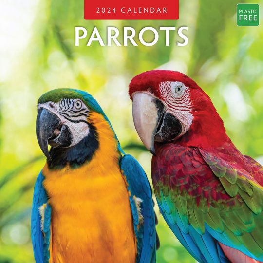 Kalender 2024 - Parrots