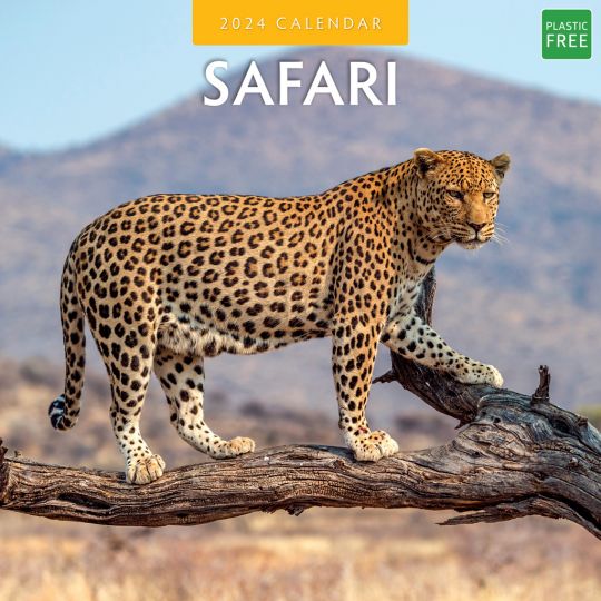 Kalender 2024 - Safari