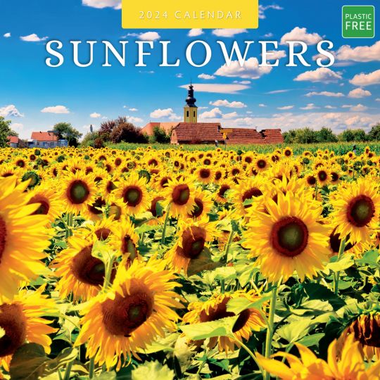 Kalender 2024 - Sunflowers