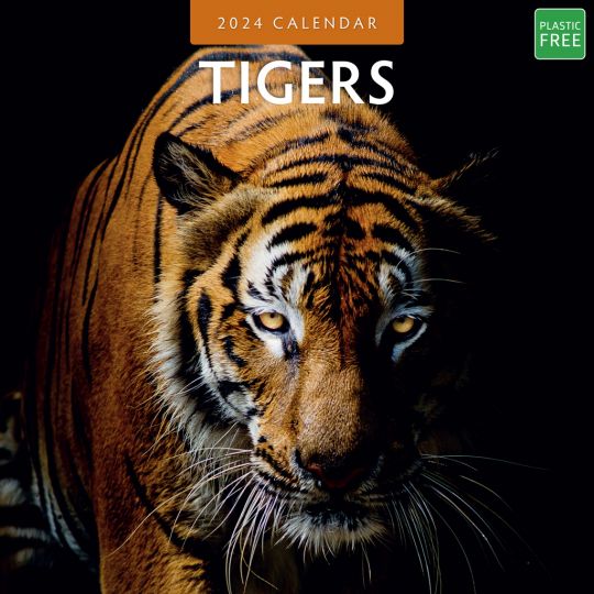 Kalender 2024 - Tigers