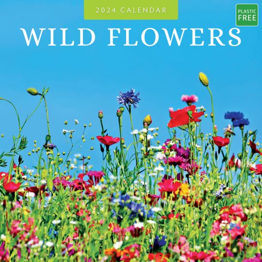 Kalender 2024 - Wild Flowers