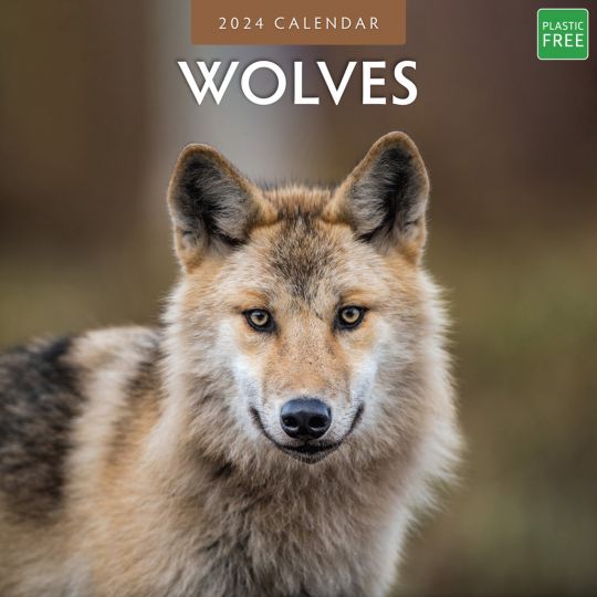 Kalender 2024 - Wolves